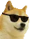 AH_Dogefacha