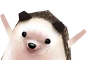 kaoppynoises