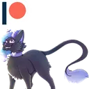 noca