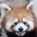 happyredpanda Discord Emoji