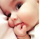 gg_bacchahu gg_bacchahu