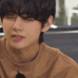 tae_facepalm1 Discord emoji