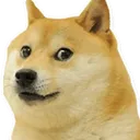 awful_dog