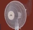 Bigfan Bigfan