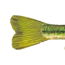 bass4
