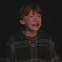 whydidithavetobespiders