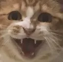 VH_SCREAMS