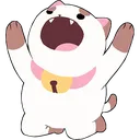 pupwhy