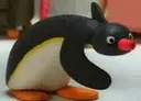 Pingu