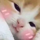 cozyuwu cozyuwu