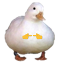 CT_ShyDuck Discord emoji