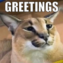 SCfloppaGREETINGS SCfloppaGREETINGS