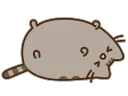 pusheenlie