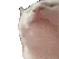 CatJamL