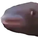 BruhFish