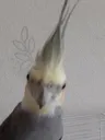 youwotm8 youwotm8