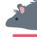 rat_long1