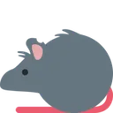 fat_rat