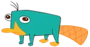 perryPlatypus