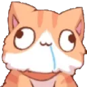 CatKittyDerp Discord Emoji