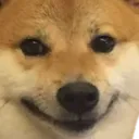 bruh