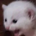 aaaahh