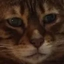 depression depression