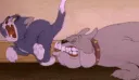 nalpha_tom