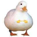 R_ShyDuck custom emote - Prod. By | Music Production