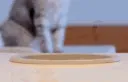 CaTidyaaalurking