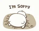 n_Sorry