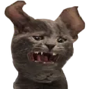 ConfusedScrem