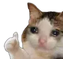 cryingkittyapprove cryingkittyapprove