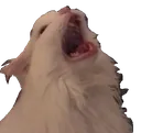 demoniccatscreechingohoaohsdo