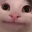 CatOK