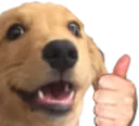SeemsWee