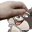 PETTHESHLOLUL