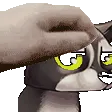 PETTHESHLOREALLY
