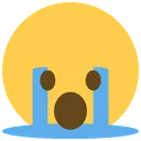 cry
