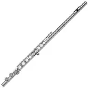 flute