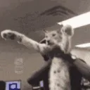SCfloppaZOOM