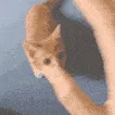 SChandattack