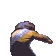WorfPls WorfPls