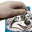 PETTHESHLOCOMFY