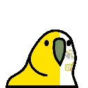 ParrotVatican