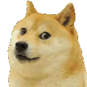 Doge_sus