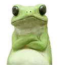 frogAngry