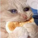 PLS