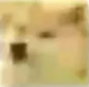 dogeJPG