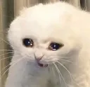 sad Discord Emoji